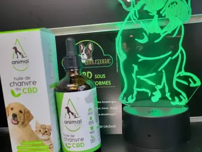 Coffee Bouledogue CBD Orleans Animaux Accueil